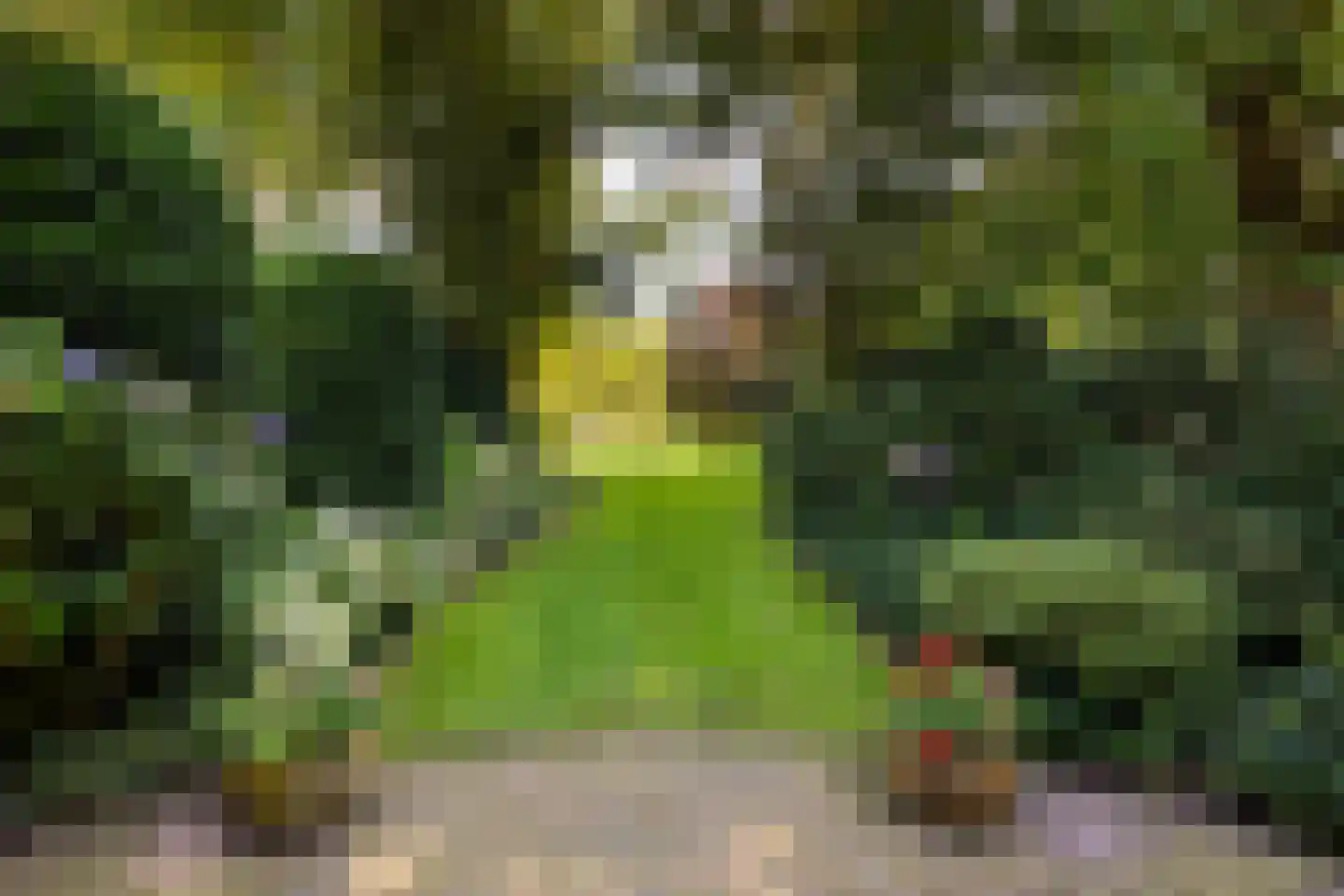 Leeuwenburgerlaan 4 Doorn thumbnail 43