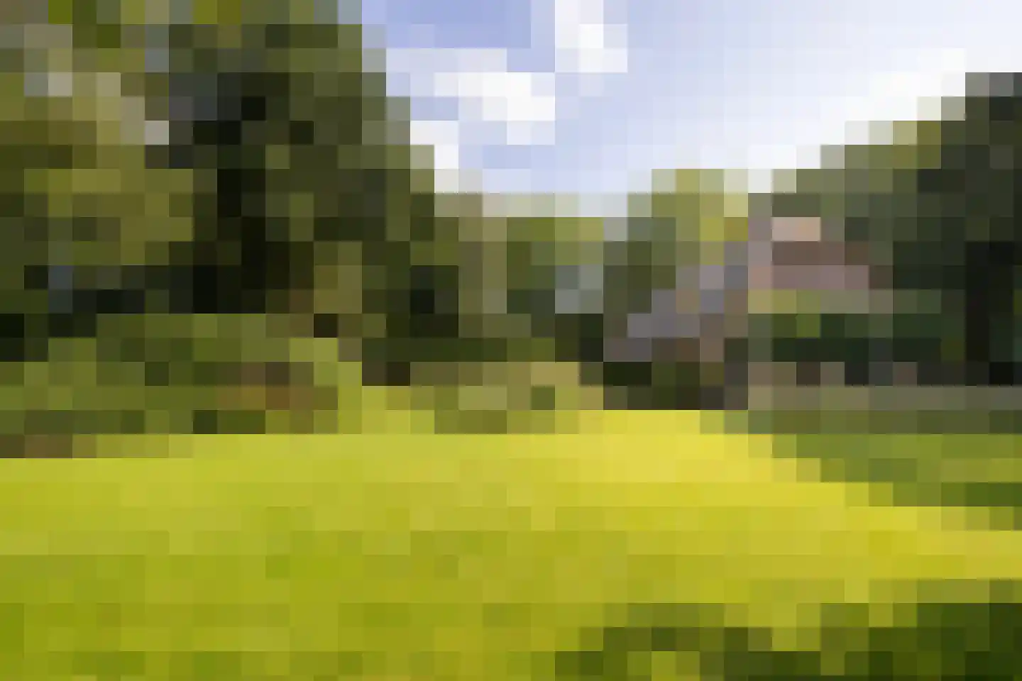 Leeuwenburgerlaan 4 Doorn thumbnail 43