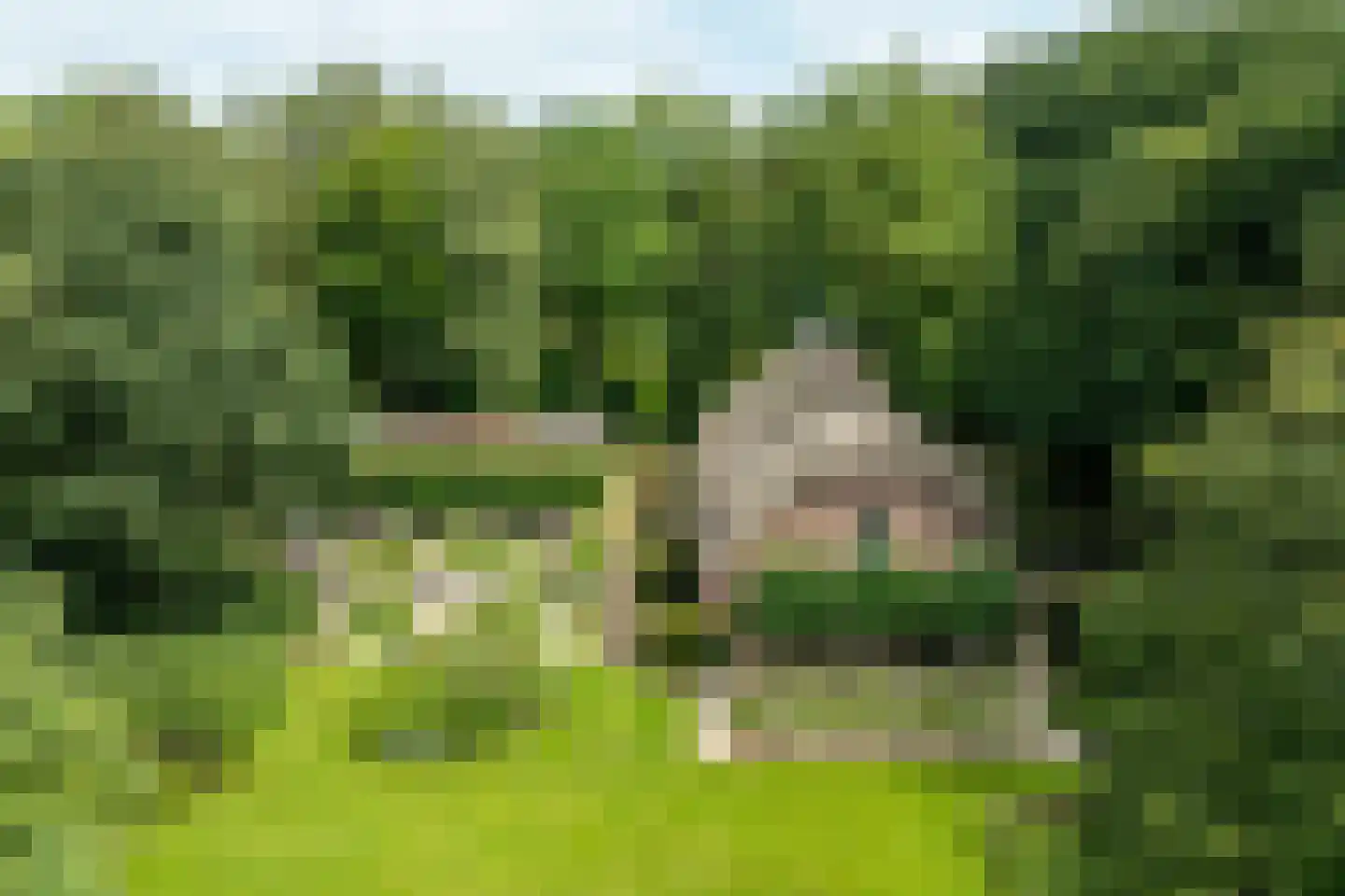 Leeuwenburgerlaan 4 Doorn thumbnail 45
