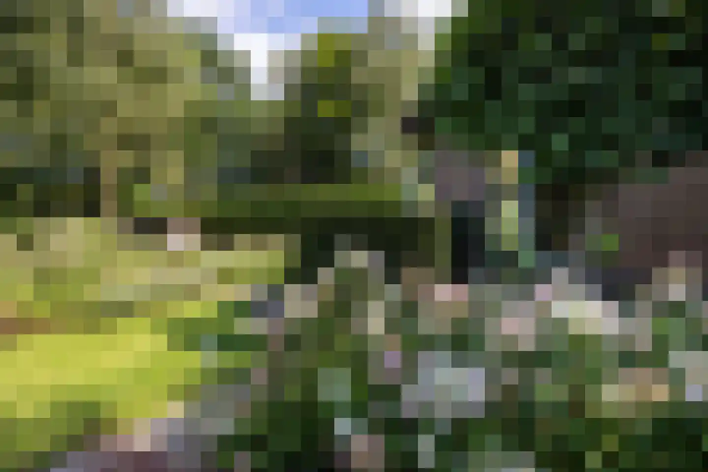 Leeuwenburgerlaan 4 Doorn thumbnail 46