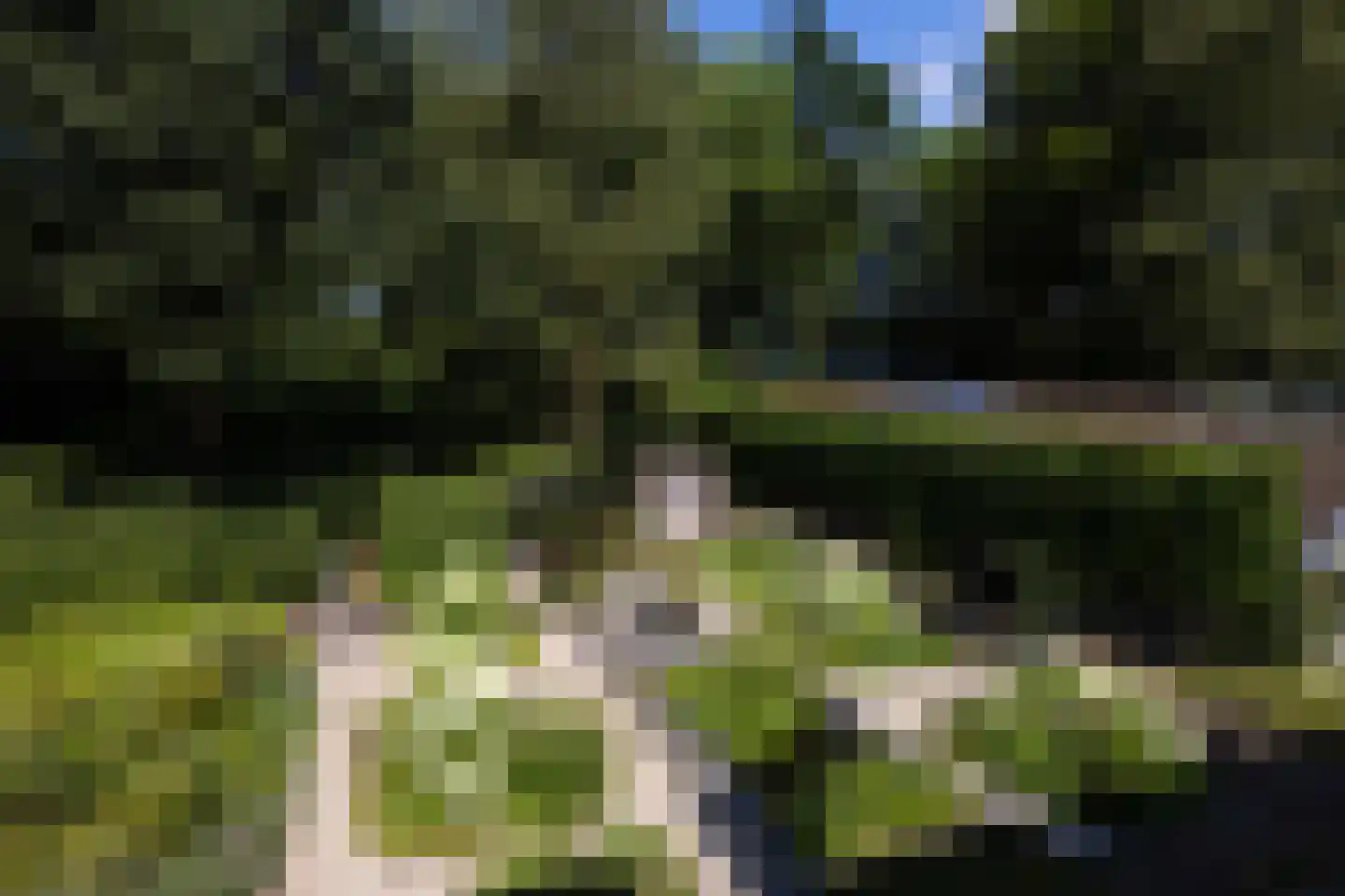 Leeuwenburgerlaan 4 Doorn thumbnail 47