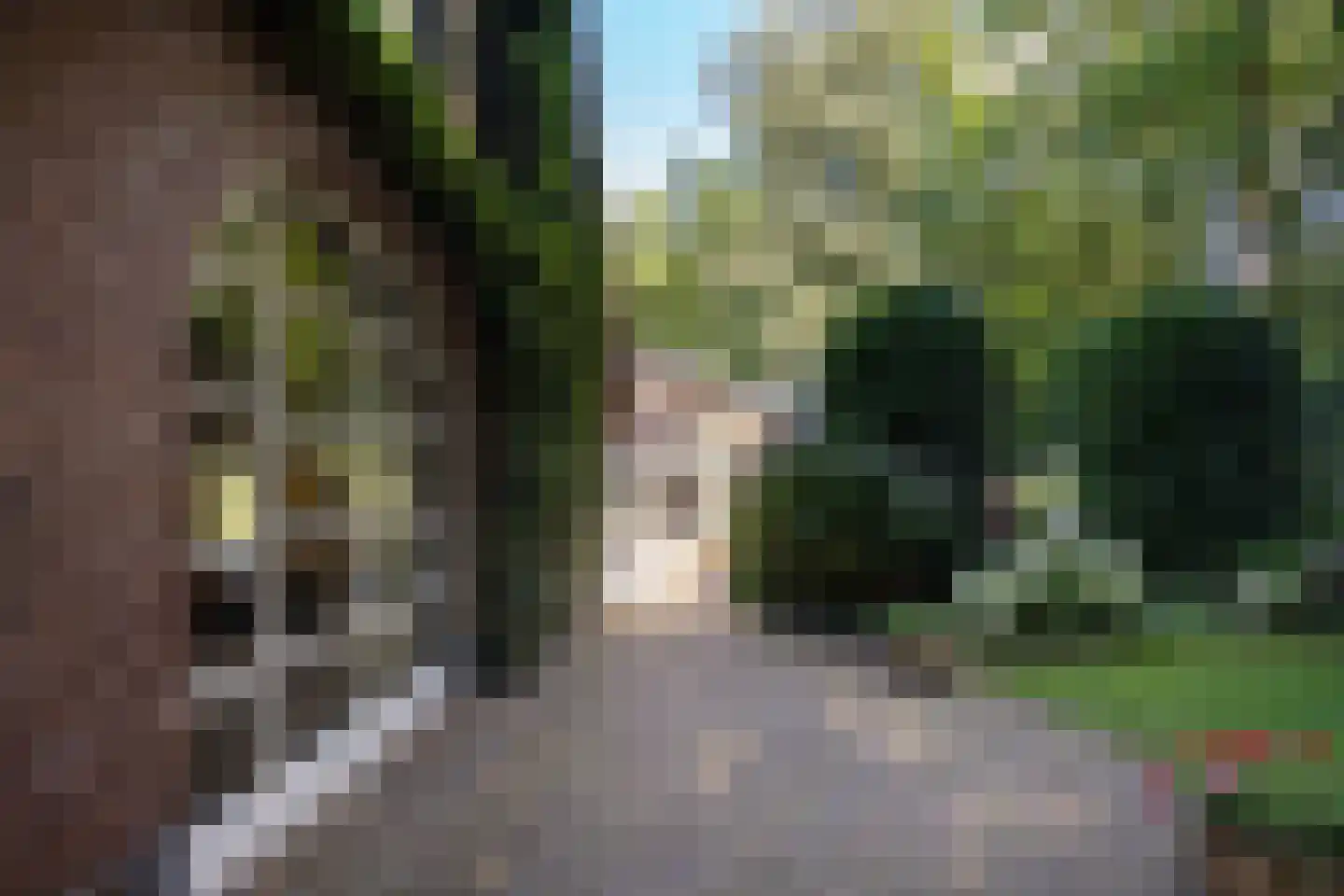 Leeuwenburgerlaan 4 Doorn thumbnail 6