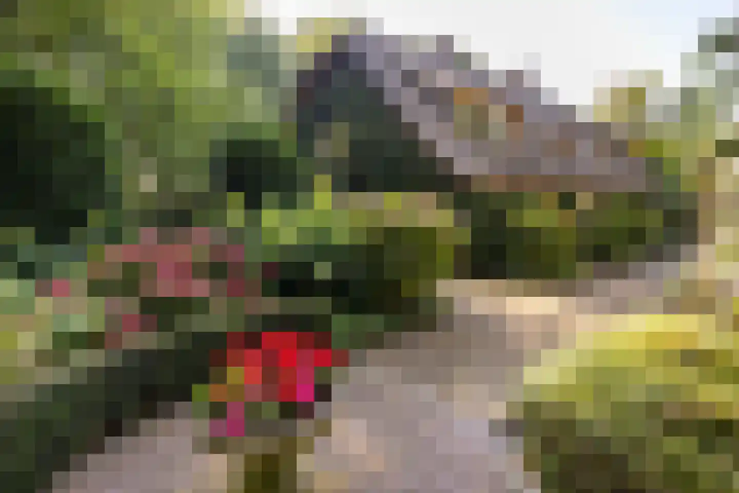 Leeuwenburgerlaan 4 Doorn thumbnail 7