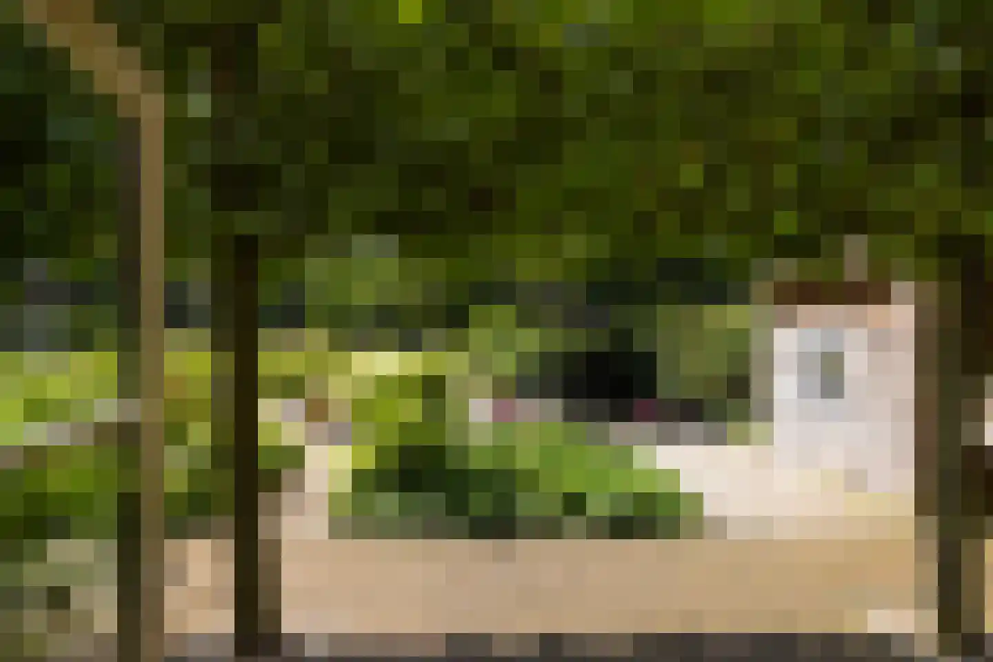 Leeuwenburgerlaan 4 Doorn thumbnail 7