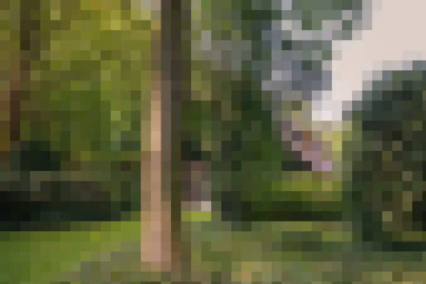 Leeuwenburgerlaan 4 Doorn thumbnail 8