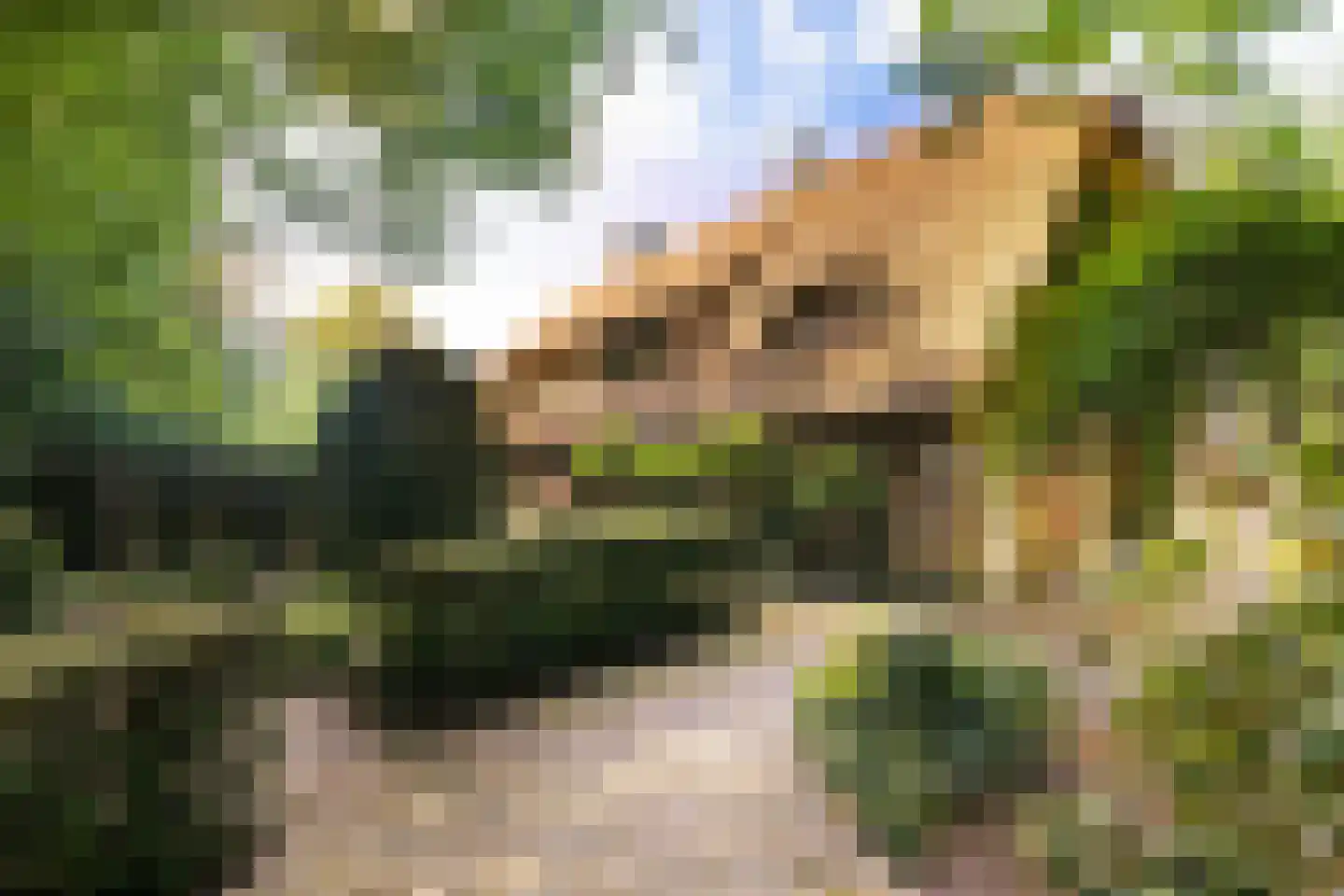 Leeuwenburgerlaan 4 Doorn thumbnail 9