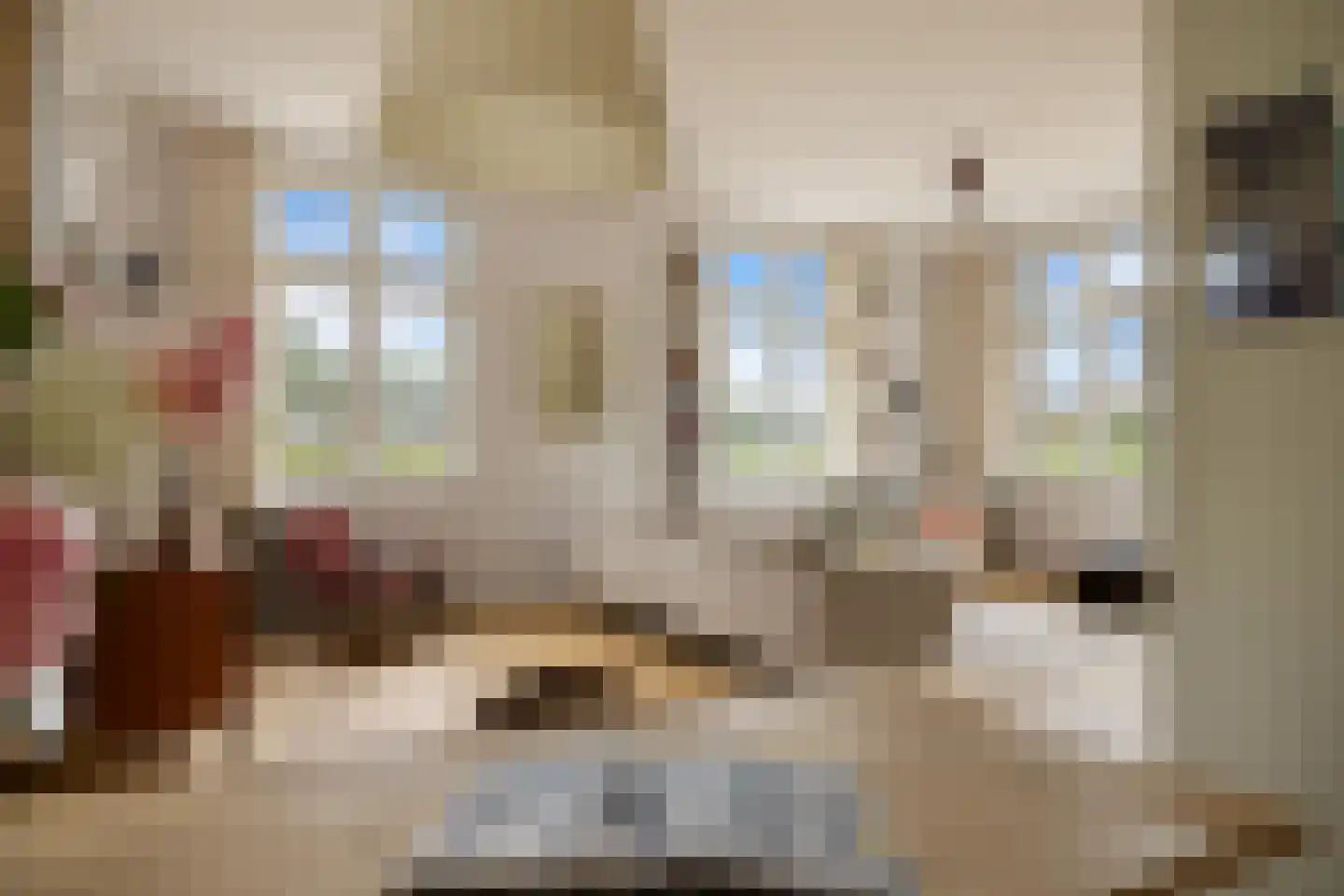 Leeuwenburgstraat 21 Weesp thumbnail 14