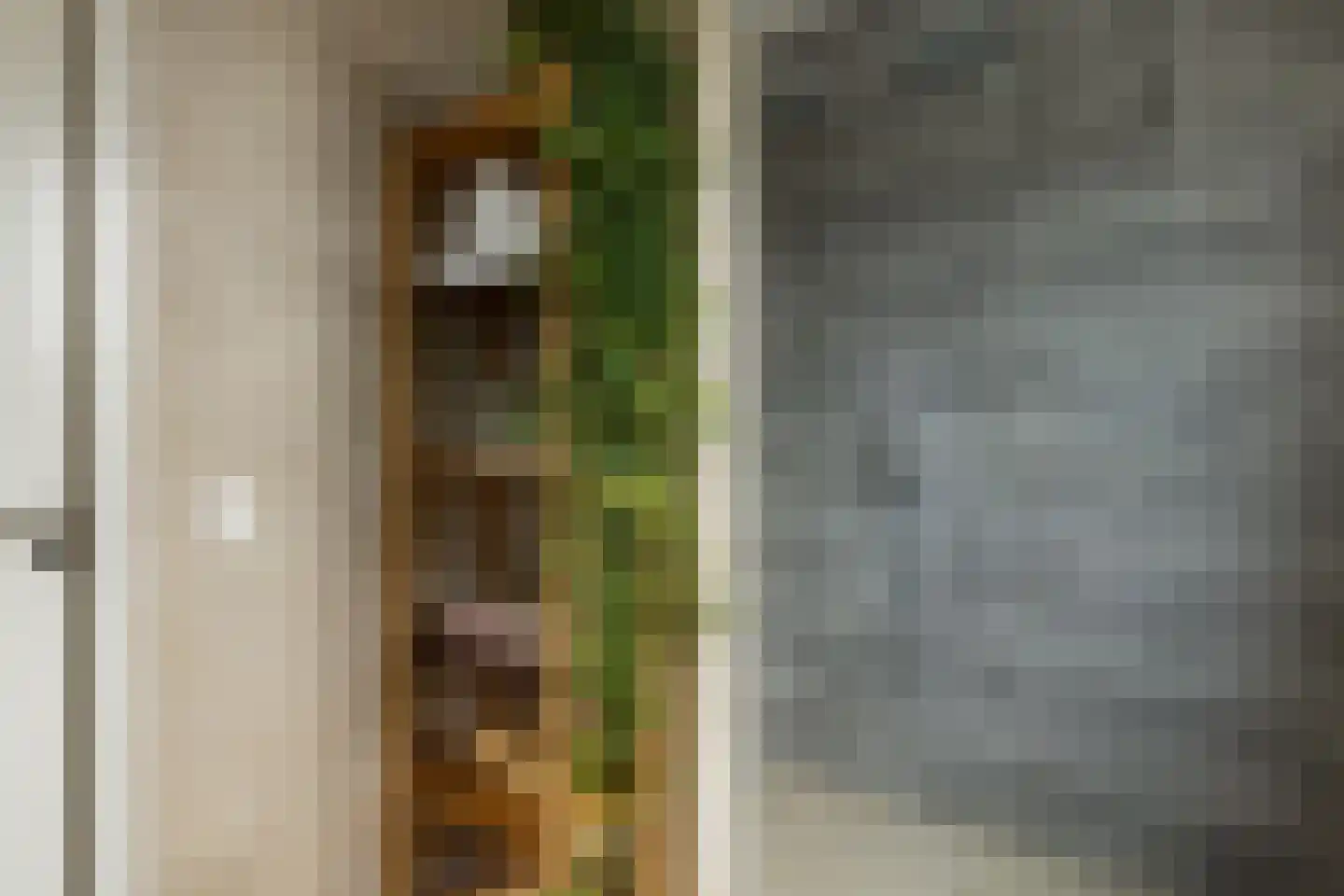 Leeuwenburgstraat 21 Weesp thumbnail 23