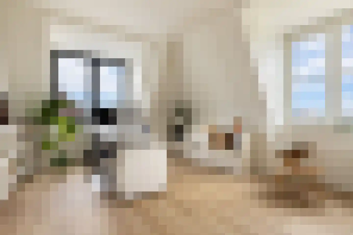 Leeuwenburgstraat 21 Weesp thumbnail 25