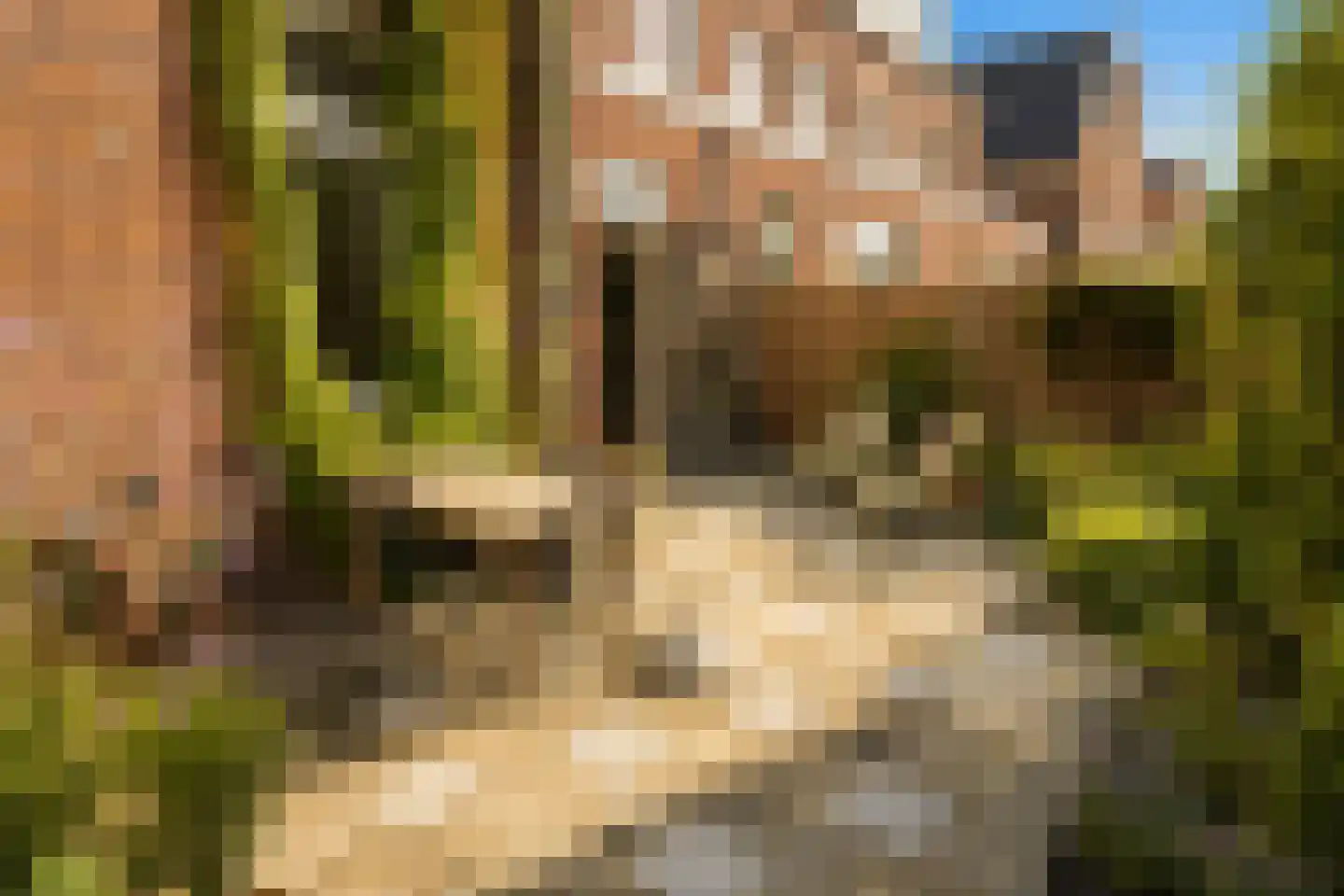 Leeuwenburgstraat 21 Weesp thumbnail 31