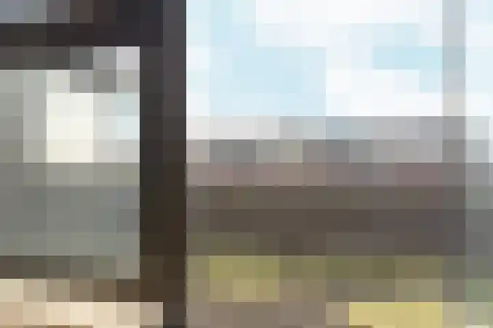 Leeuwencamp 1 Zevenaar thumbnail 23