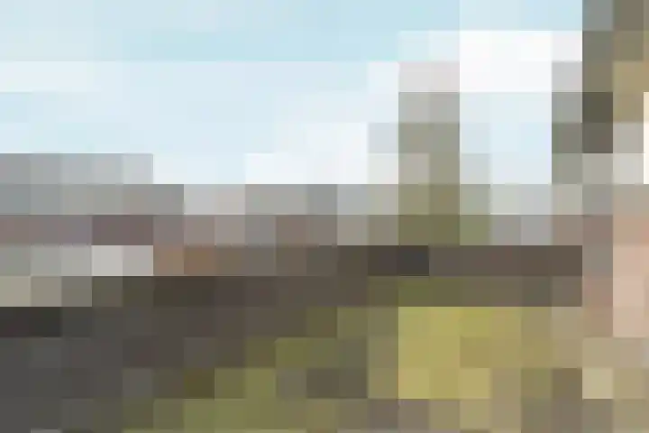 Leeuwencamp 1 Zevenaar thumbnail 24