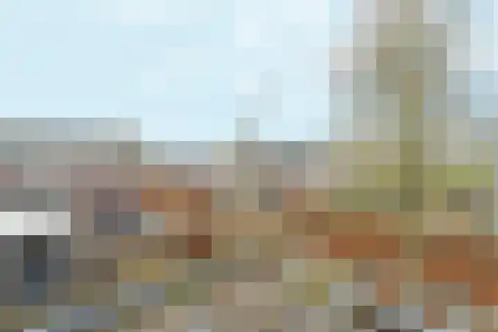 Leeuwencamp 1 Zevenaar thumbnail 25