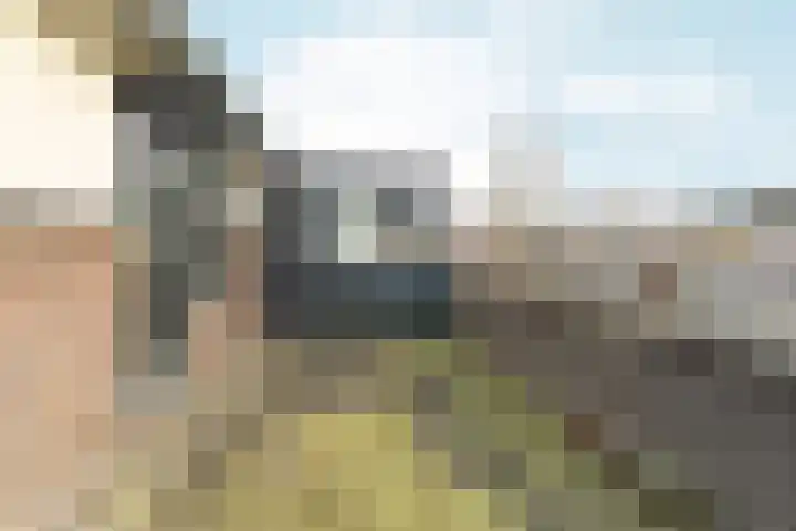 Leeuwencamp 1 Zevenaar thumbnail 26
