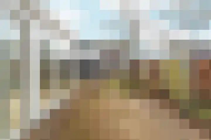 Leeuwencamp 1 Zevenaar thumbnail 37