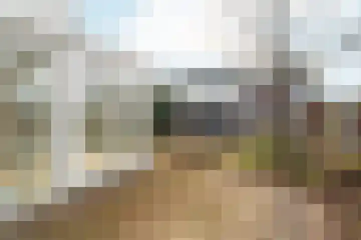 Leeuwencamp 1 Zevenaar thumbnail 38
