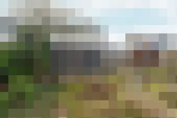 Leeuwencamp 1 Zevenaar thumbnail 39