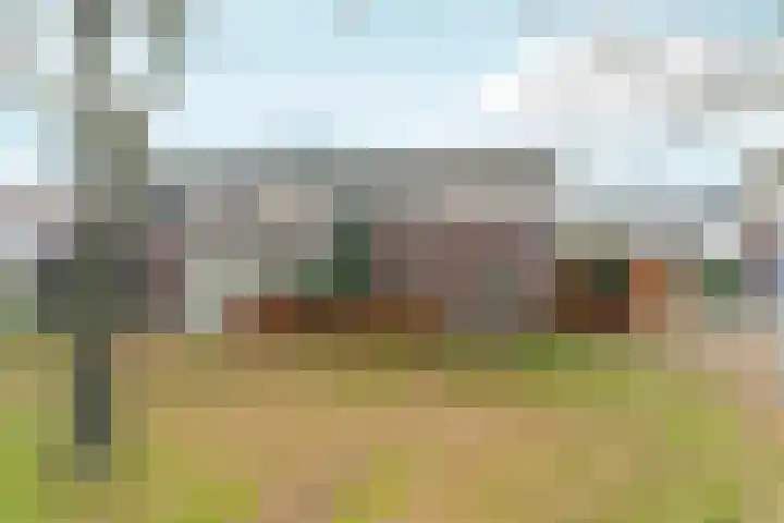 Leeuwencamp 1 Zevenaar thumbnail 4