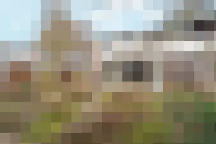 Leeuwencamp 1 Zevenaar thumbnail 40