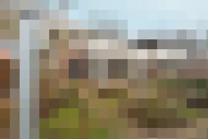 Leeuwencamp 1 Zevenaar thumbnail 41