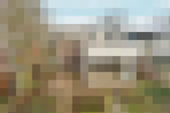 Leeuwencamp 1 Zevenaar thumbnail 42