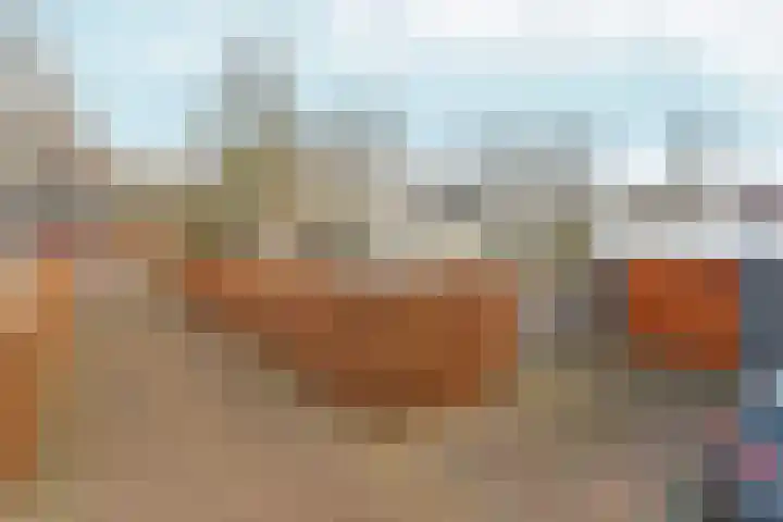 Leeuwencamp 1 Zevenaar thumbnail 43