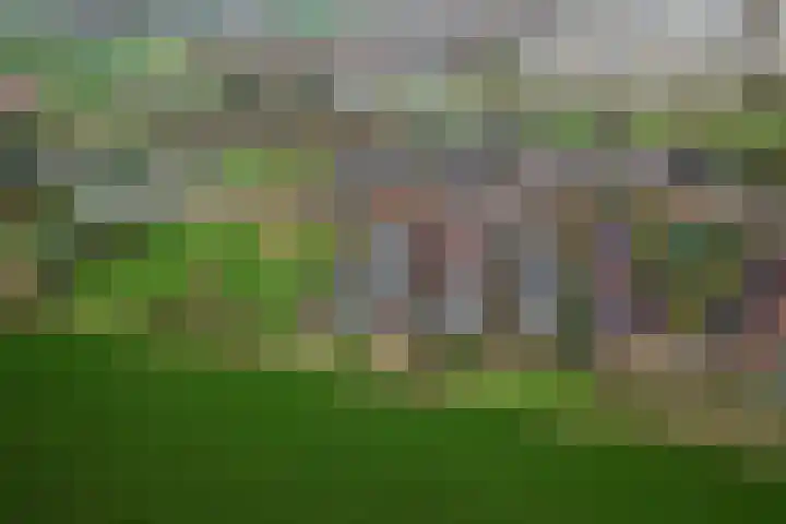 Leeuwencamp 1 Zevenaar thumbnail 51