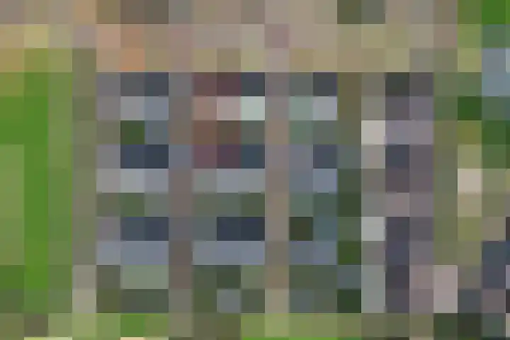Leeuwencamp 1 Zevenaar thumbnail 52