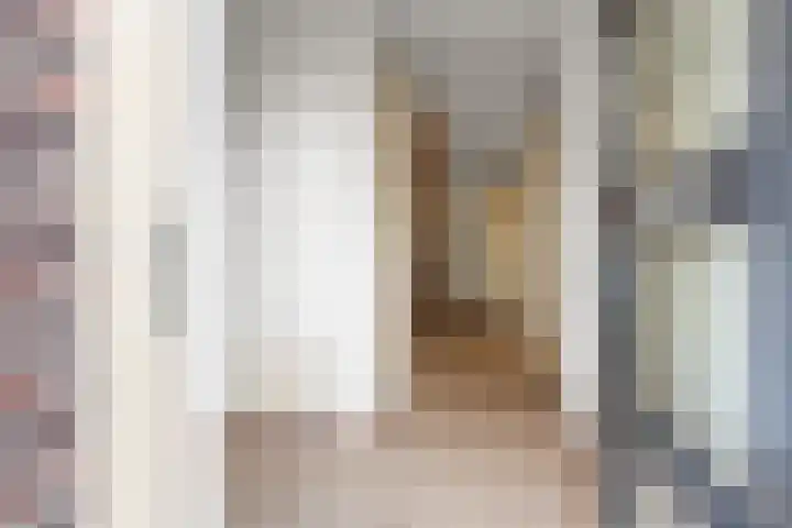 Leeuwencamp 1 Zevenaar thumbnail 6