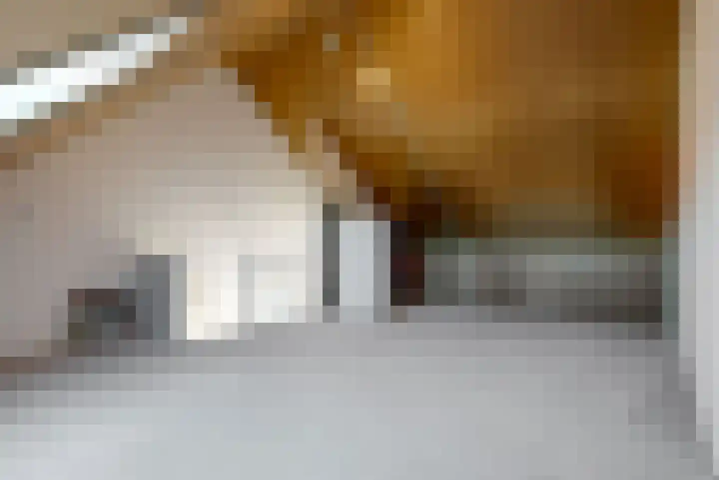 Leeuwendaalder 5 Obdam thumbnail 21