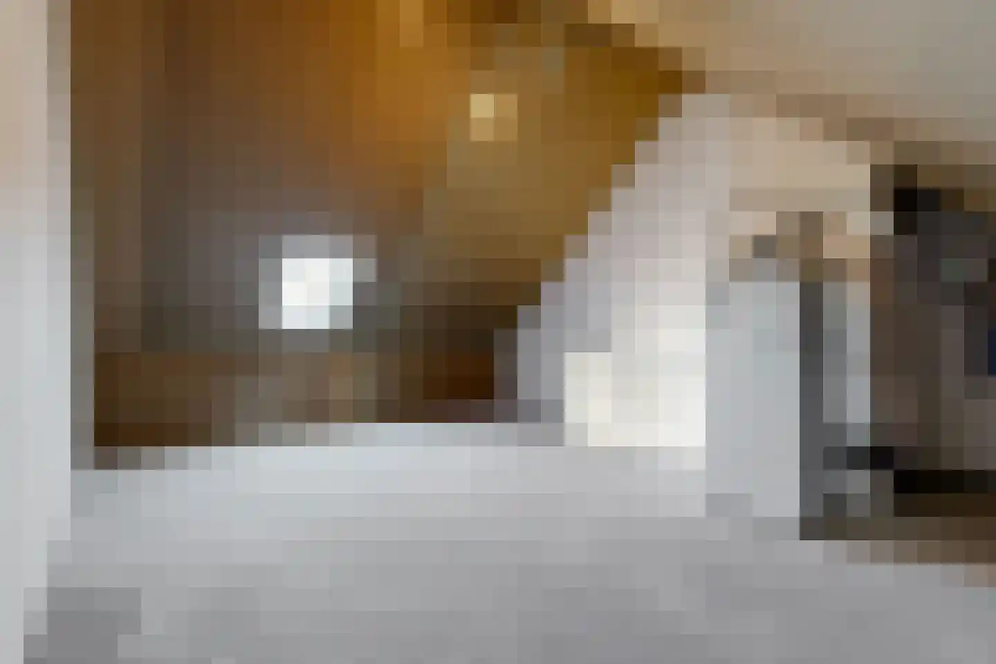 Leeuwendaalder 5 Obdam thumbnail 22