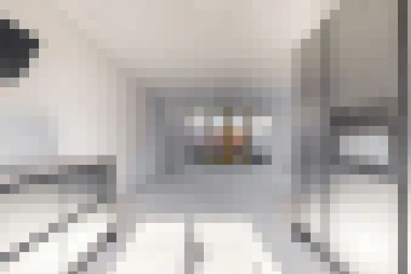 Leeuwendaalder 5 Obdam thumbnail 9
