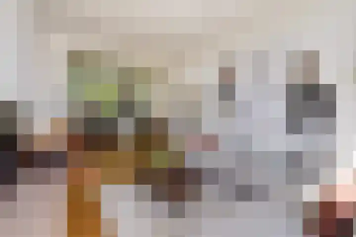 Leeuwendaallaan 103 Rijswijk thumbnail 10