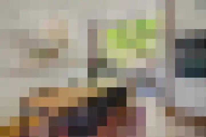 Leeuwendaallaan 103 Rijswijk thumbnail 13