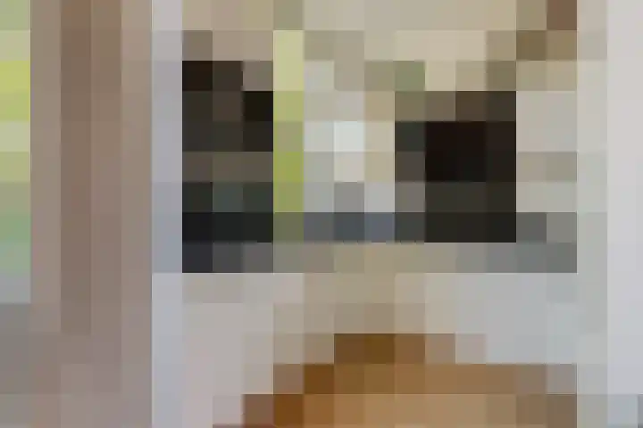 Leeuwendaallaan 103 Rijswijk thumbnail 14