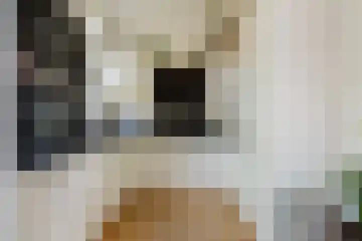 Leeuwendaallaan 103 Rijswijk thumbnail 15
