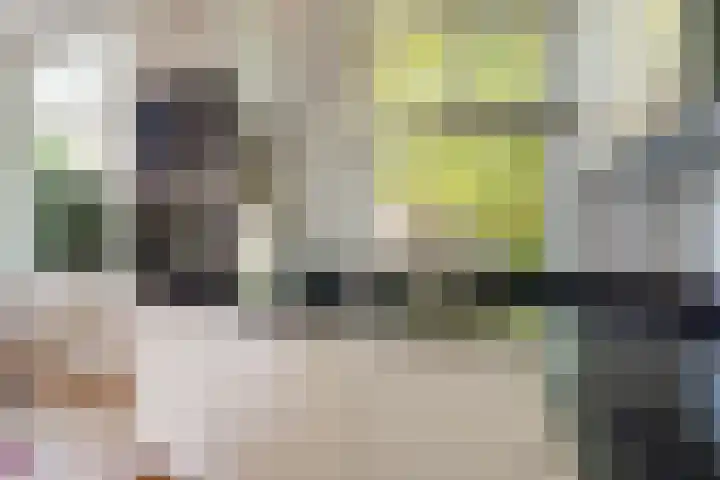 Leeuwendaallaan 103 Rijswijk thumbnail 16