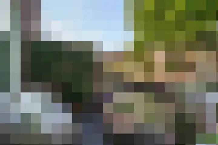 Leeuwendaallaan 103 Rijswijk thumbnail 17