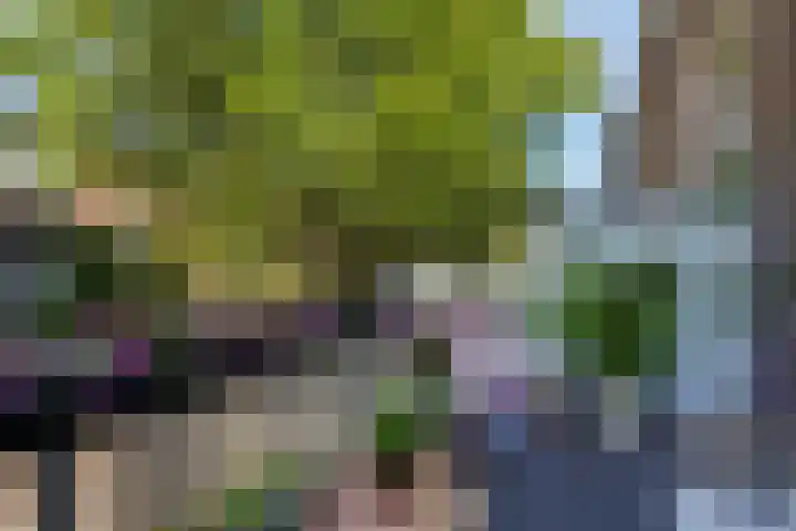 Leeuwendaallaan 103 Rijswijk thumbnail 18