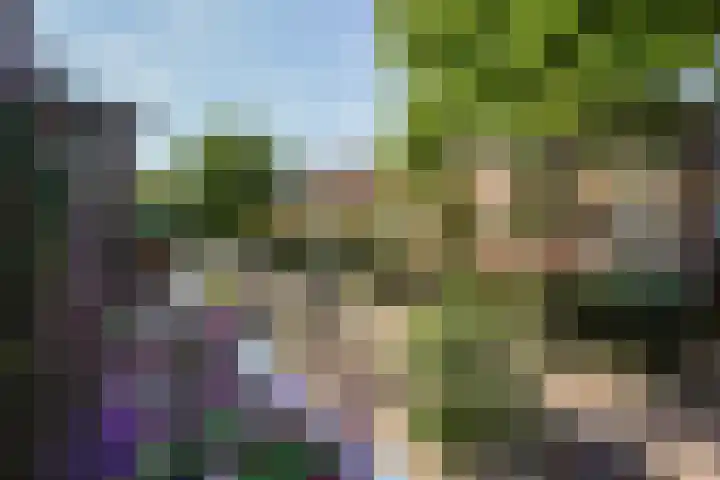 Leeuwendaallaan 103 Rijswijk thumbnail 19