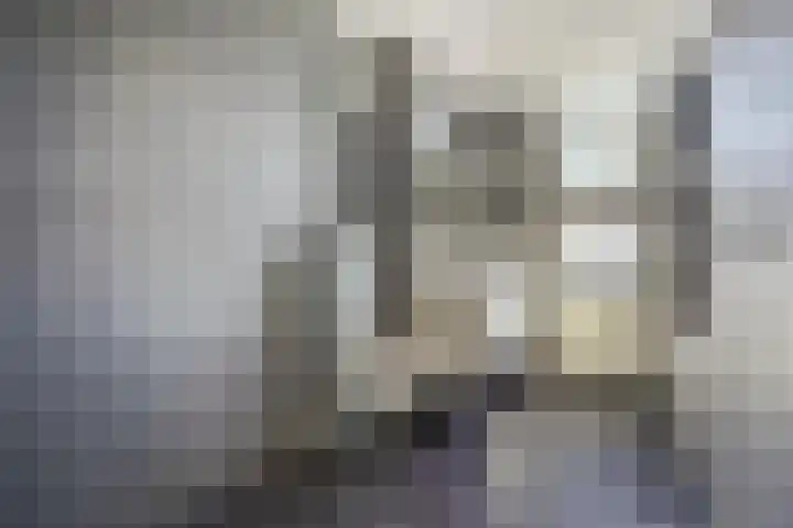 Leeuwendaallaan 103 Rijswijk thumbnail 21