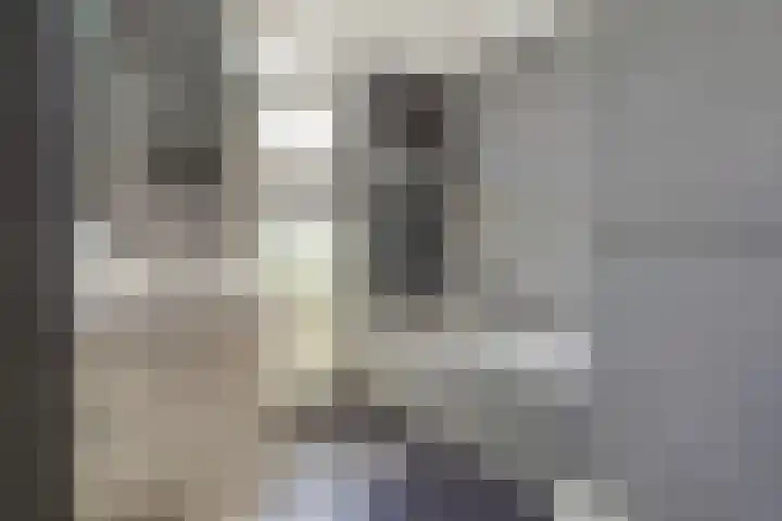 Leeuwendaallaan 103 Rijswijk thumbnail 23