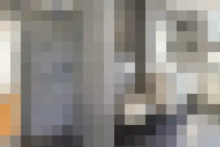 Leeuwendaallaan 103 Rijswijk thumbnail 25
