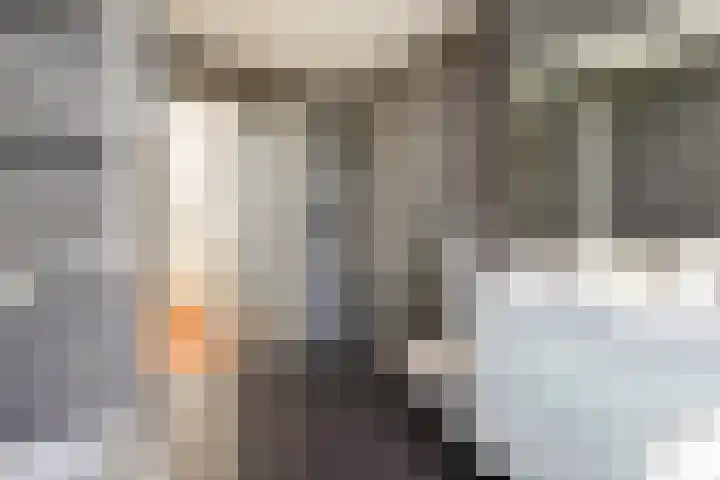 Leeuwendaallaan 103 Rijswijk thumbnail 26