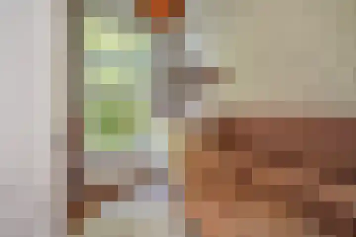 Leeuwendaallaan 103 Rijswijk thumbnail 27