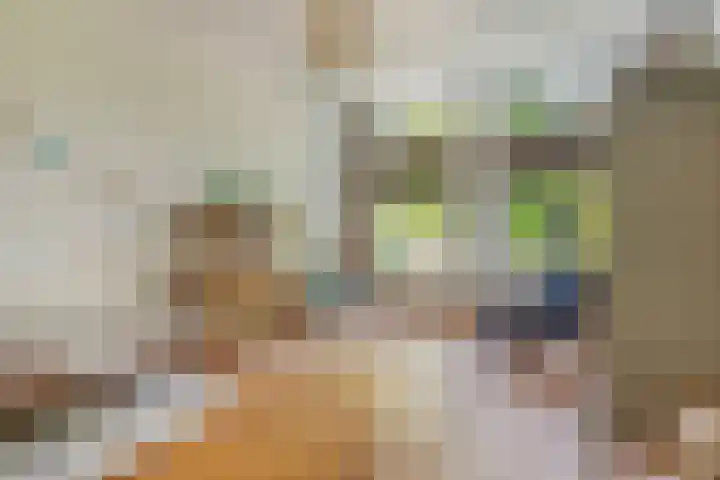 Leeuwendaallaan 103 Rijswijk thumbnail 29