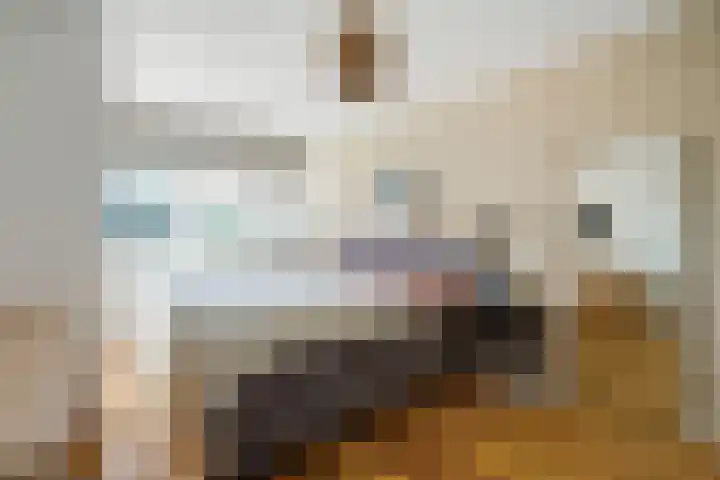 Leeuwendaallaan 103 Rijswijk thumbnail 32