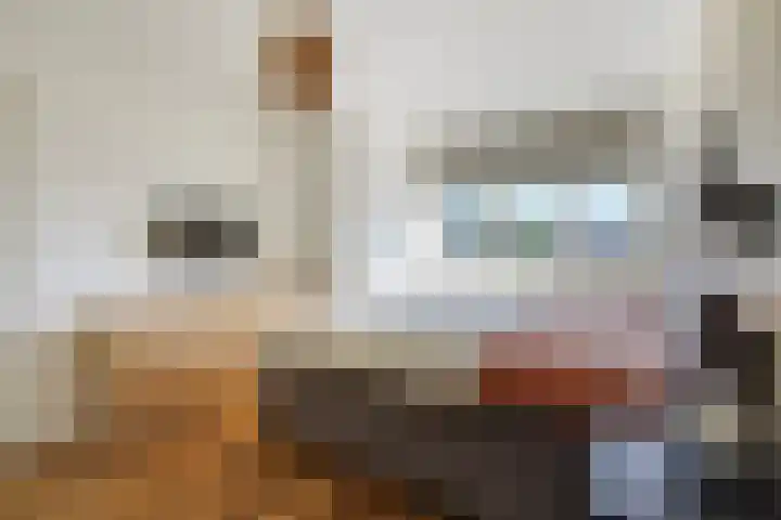 Leeuwendaallaan 103 Rijswijk thumbnail 33