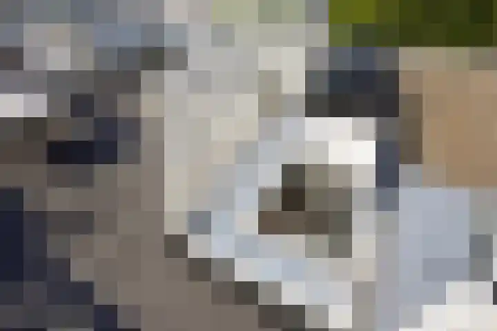 Leeuwendaallaan 103 Rijswijk thumbnail 37
