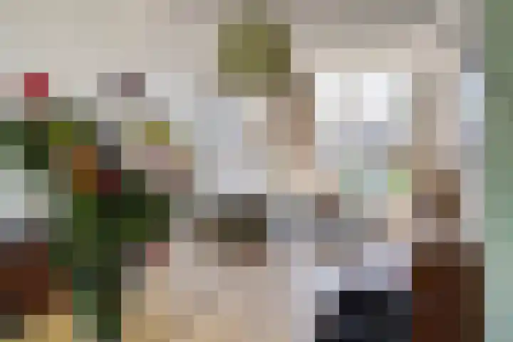 Leeuwendaallaan 103 Rijswijk thumbnail 4